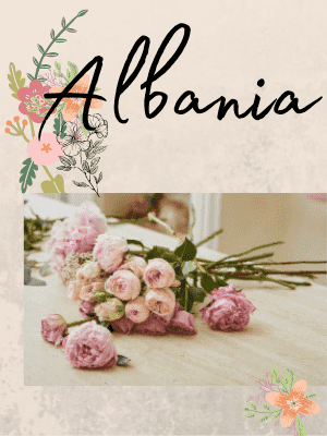 Blomster levering til Albanien