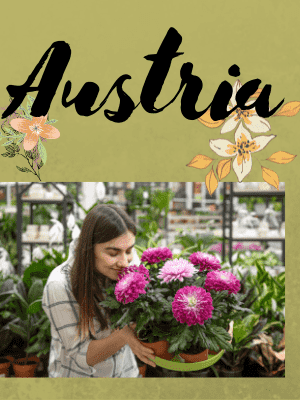 Blomster levering til Østrig